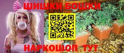 СК Будённовск