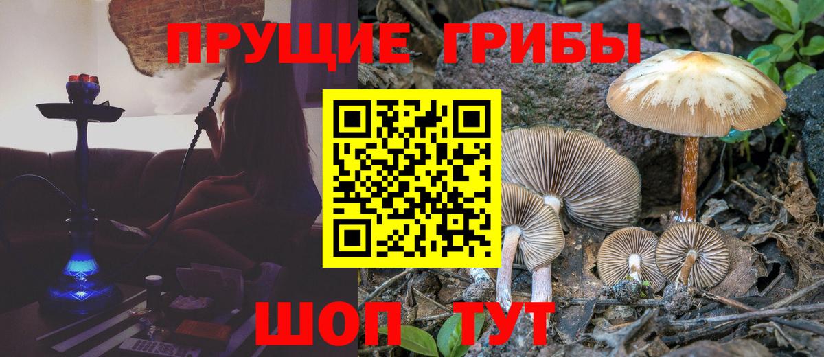 Похвистнево  Псилоцибиновые грибы Psilocybine cubensis  Вход с VPN 
