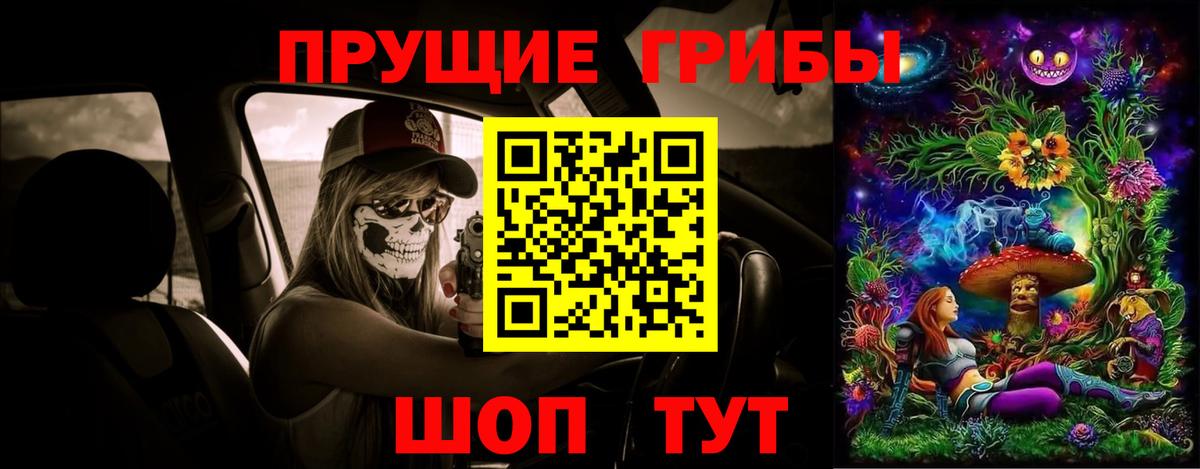 Галлюциногенные грибы Psilocybe Похвистнево